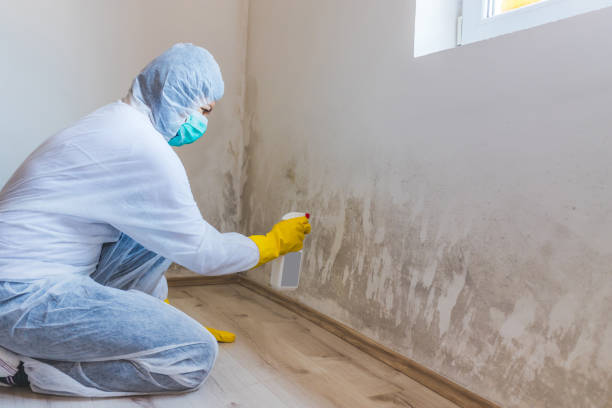 Crawl Space Mold Remediation treatment of floor joists in Maplewood